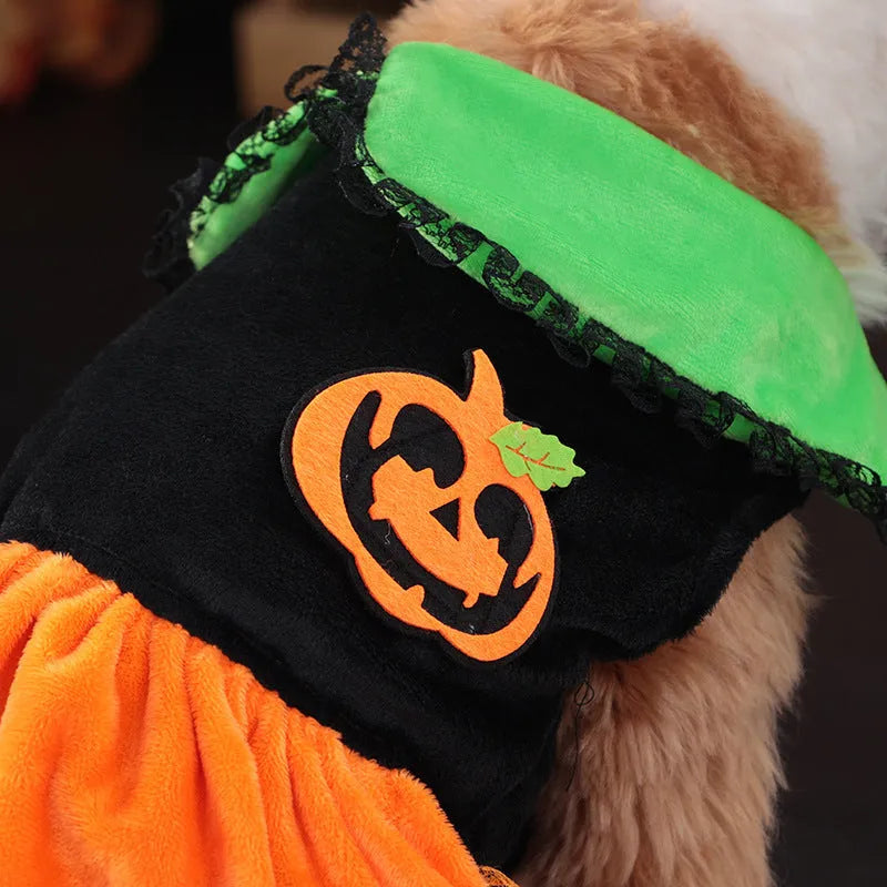 Halloween pet costume: orange pumpkin skirt and black Halloween sweater for small dogs and cats on hangers.