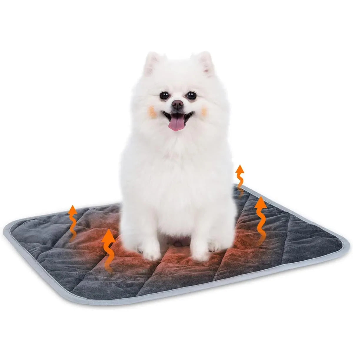 Grey cloth personalised pet cushion shown in multiple size options for dogs and cats