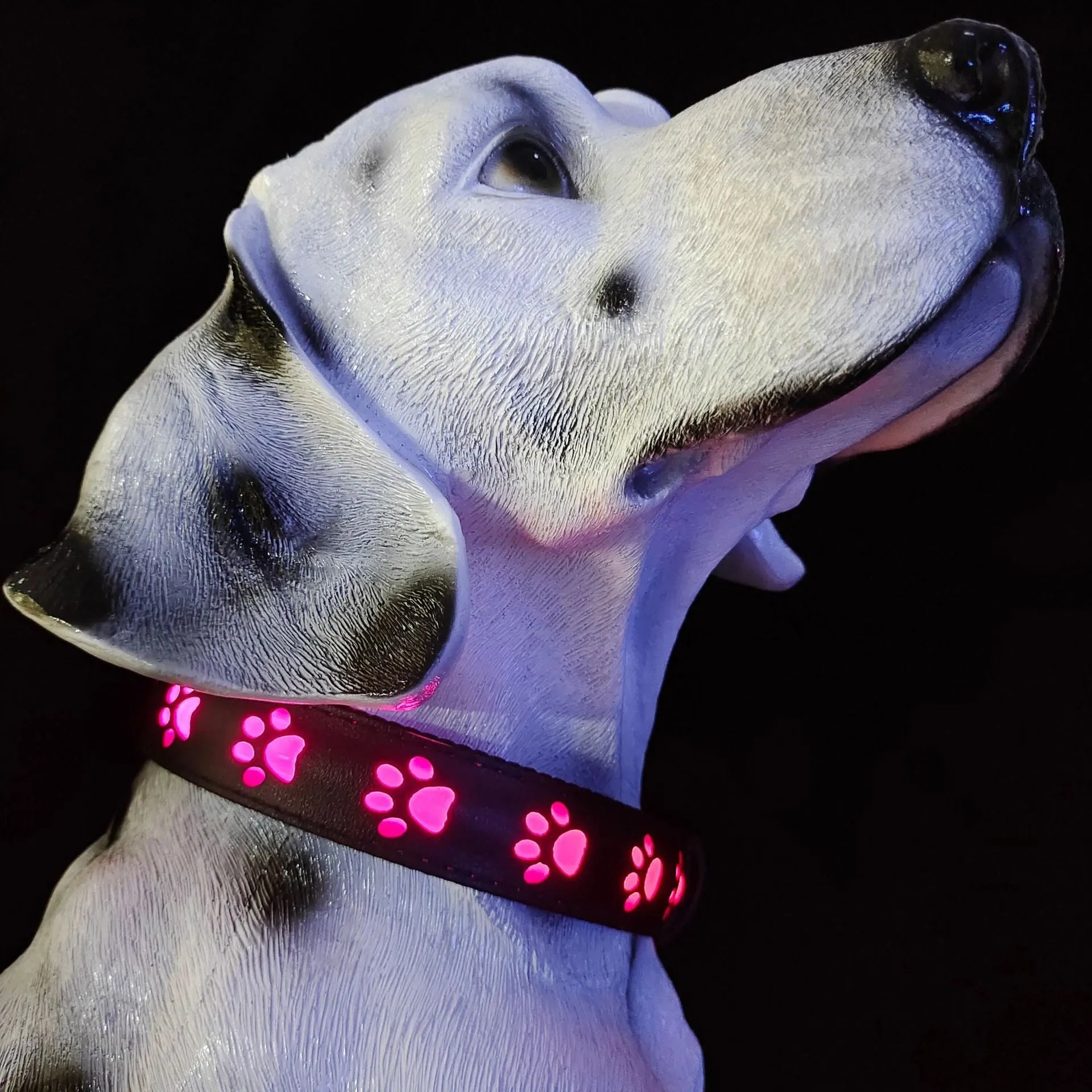 LED luminous dog collar with paw print design showing seven colour illumination on black polyester
