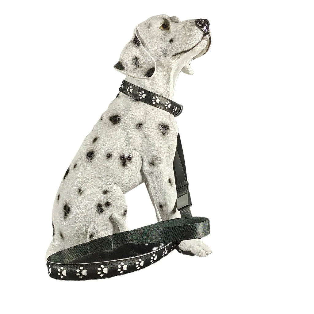 LED luminous dog collar with paw print design showing seven colour illumination on black polyester