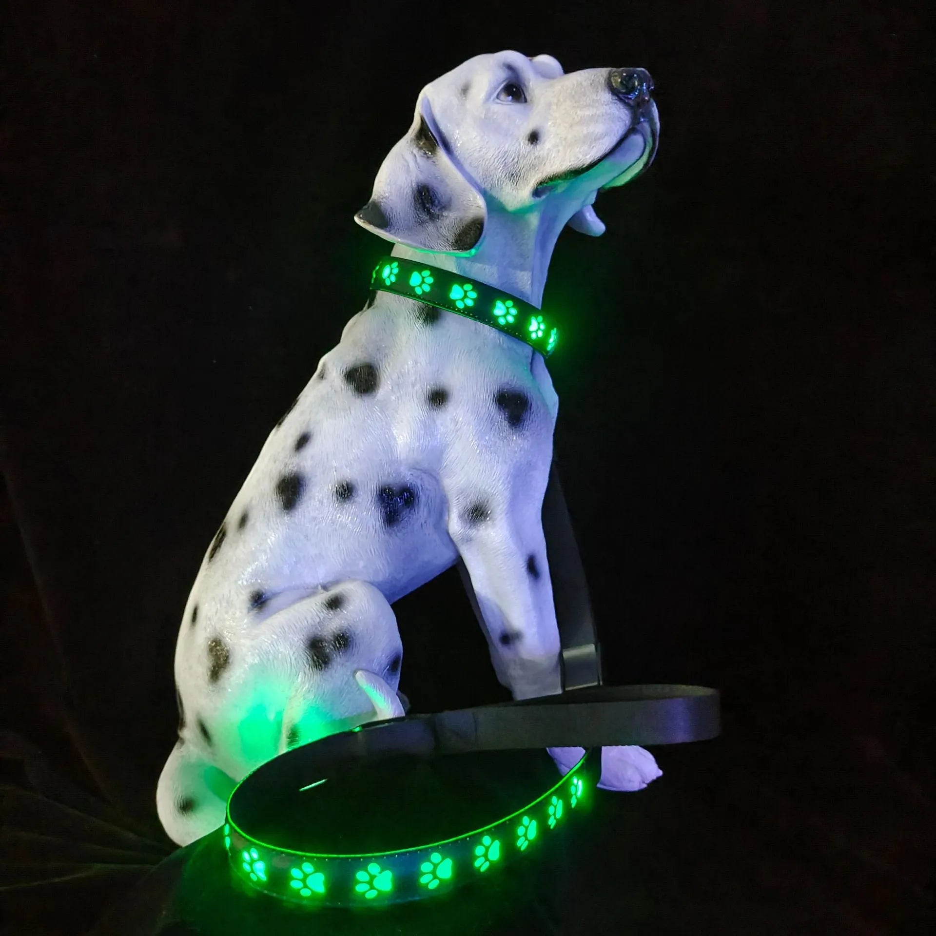 LED luminous dog collar with paw print design showing seven colour illumination on black polyester
