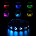 LED luminous dog collar with paw print design showing seven colour illumination on black polyester