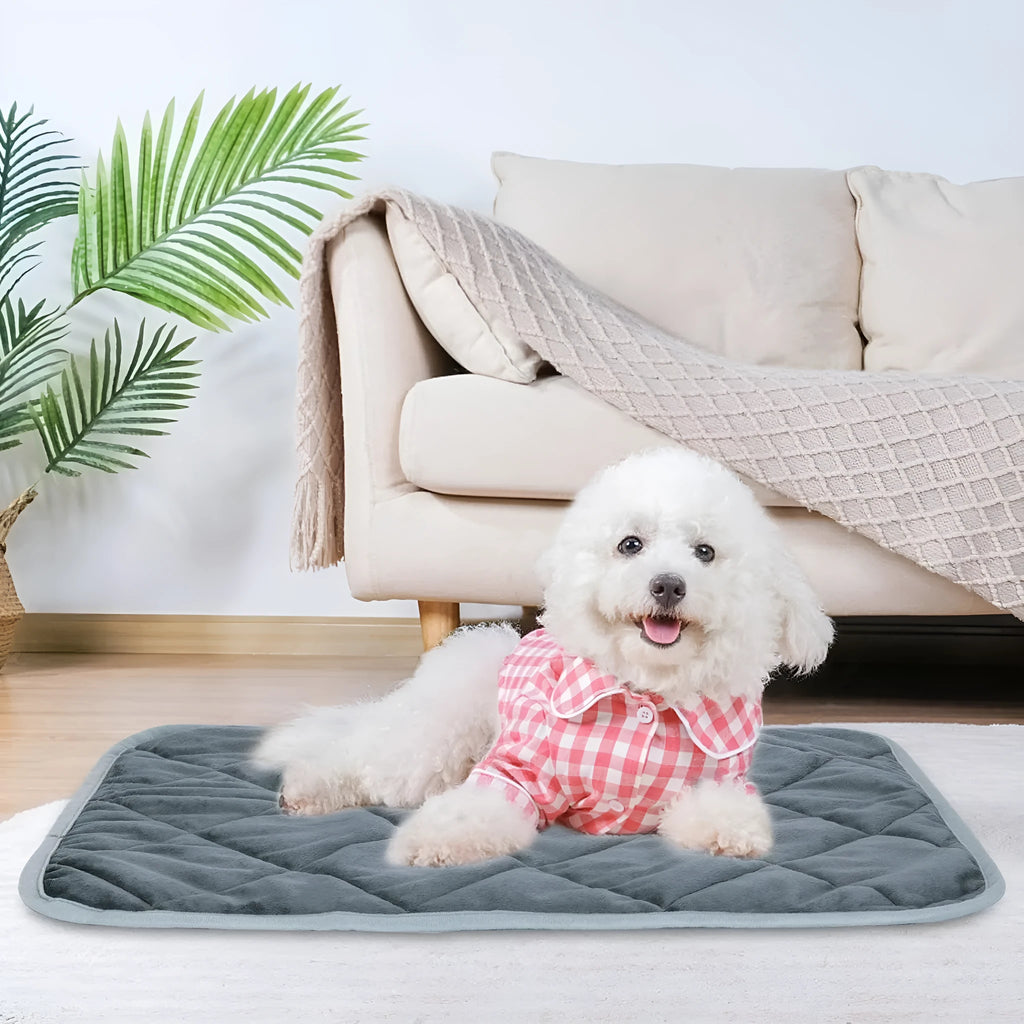 Grey cloth personalised pet cushion shown in multiple size options for dogs and cats