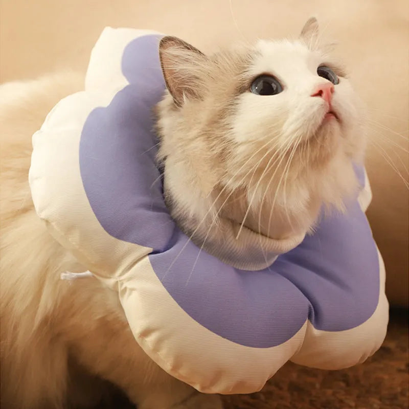 Blue cotton cat collar with a glowing solar flower, adjustable strap, shown on a cat.