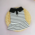 Pet dog wearing a striped t-shirt and matching skirt from a cotton summer clothing set.