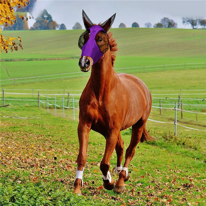 Lycra horse fly mask with ears in a check pattern, available in black blue grey purple rose red, for trail and pasture use.
