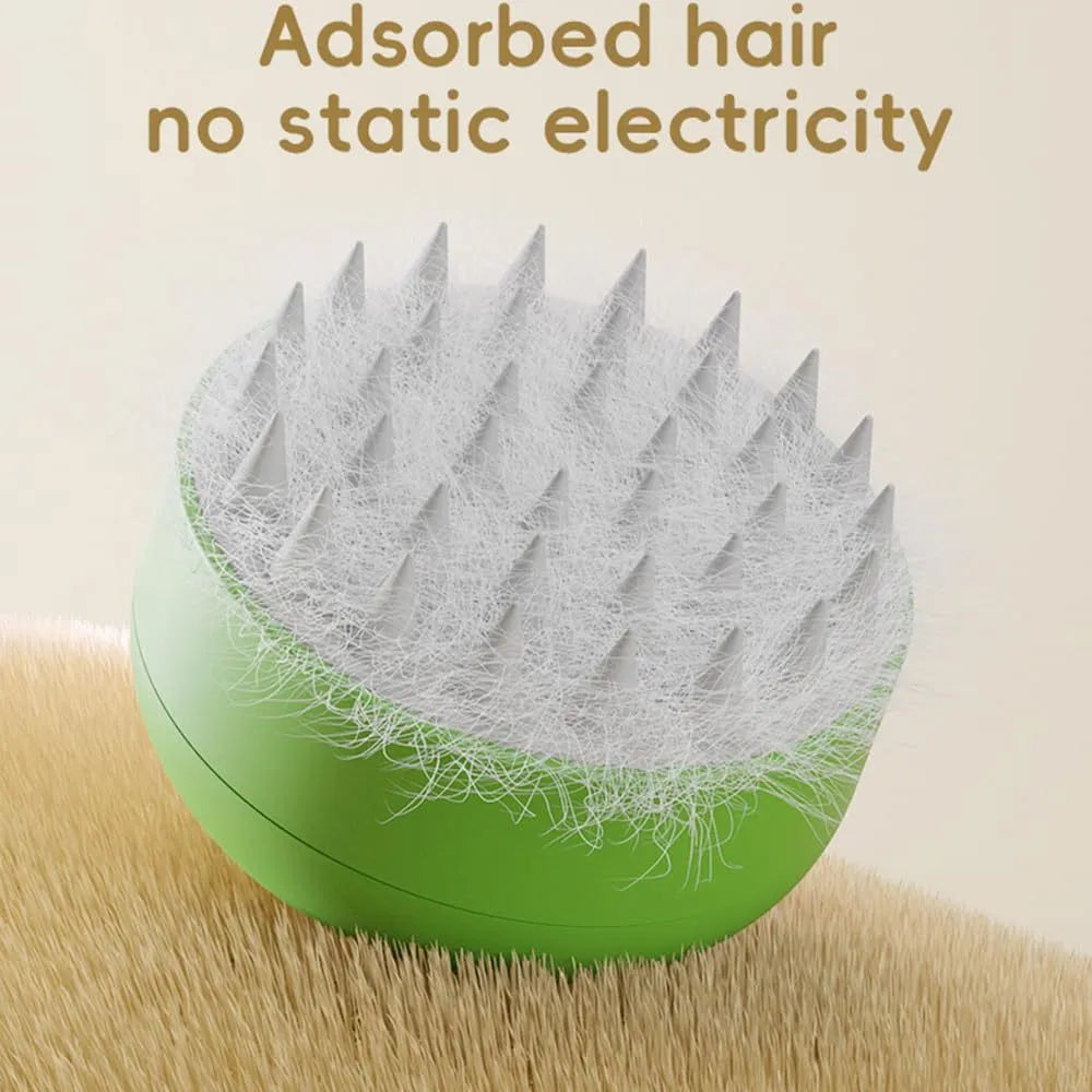 Green rechargeable cat dog steam brush with silicone bristles for hair removal and massage