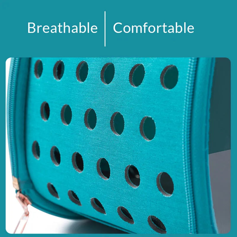 Double Fish transparent PVC dog bag pet backpack with ventilation holes and locking mechanism in sky blue