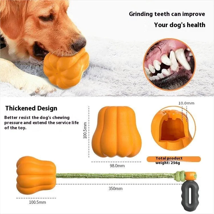 Orange plastic dog fetch toy with rope attachment for outdoor play