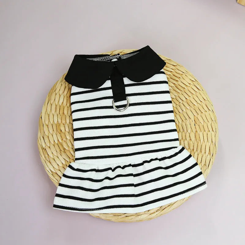 Pet dog wearing a striped t-shirt and matching skirt from a cotton summer clothing set.