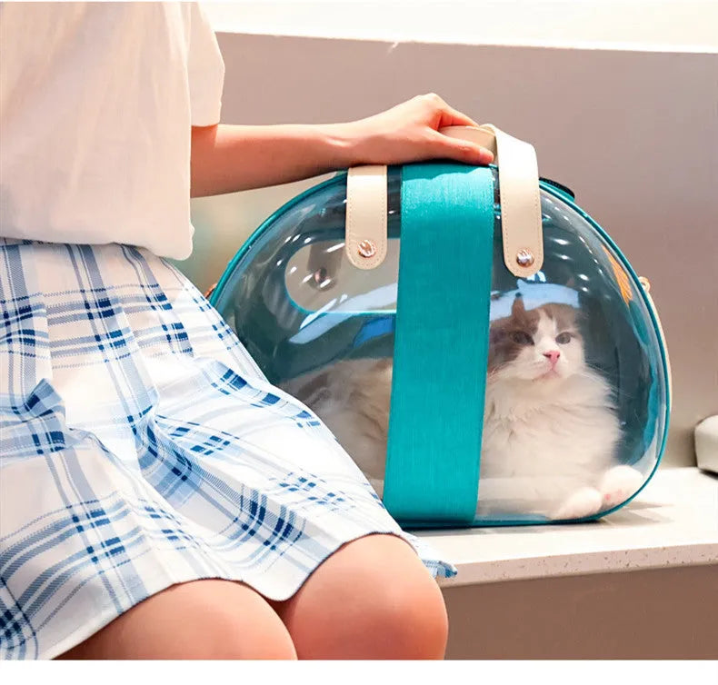 Double Fish transparent PVC dog bag pet backpack with ventilation holes and locking mechanism in sky blue