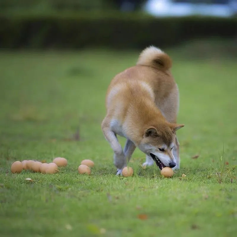 Egg-shaped dog toy with sound simulation for teeth cleaning and interactive play