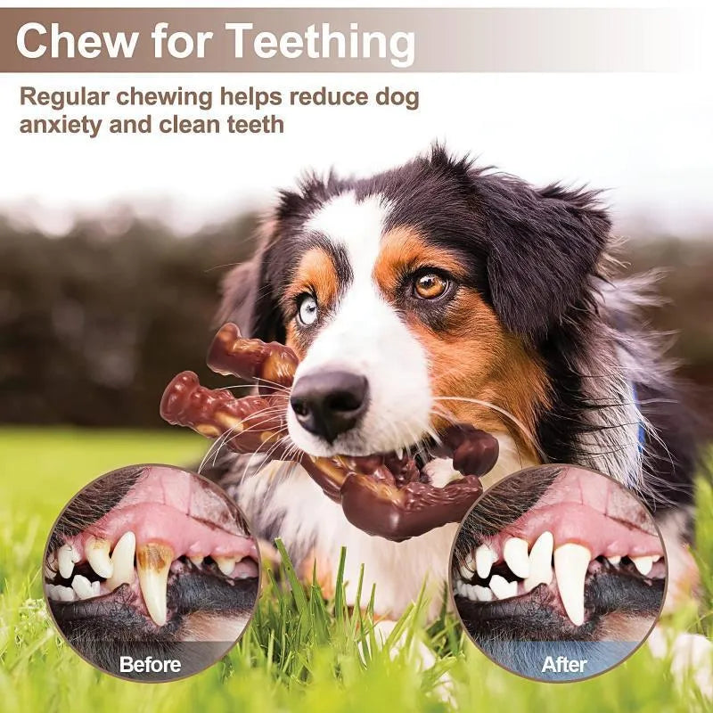 Scarlet red nylon dog chew toy with textured surface and beef flavour coating