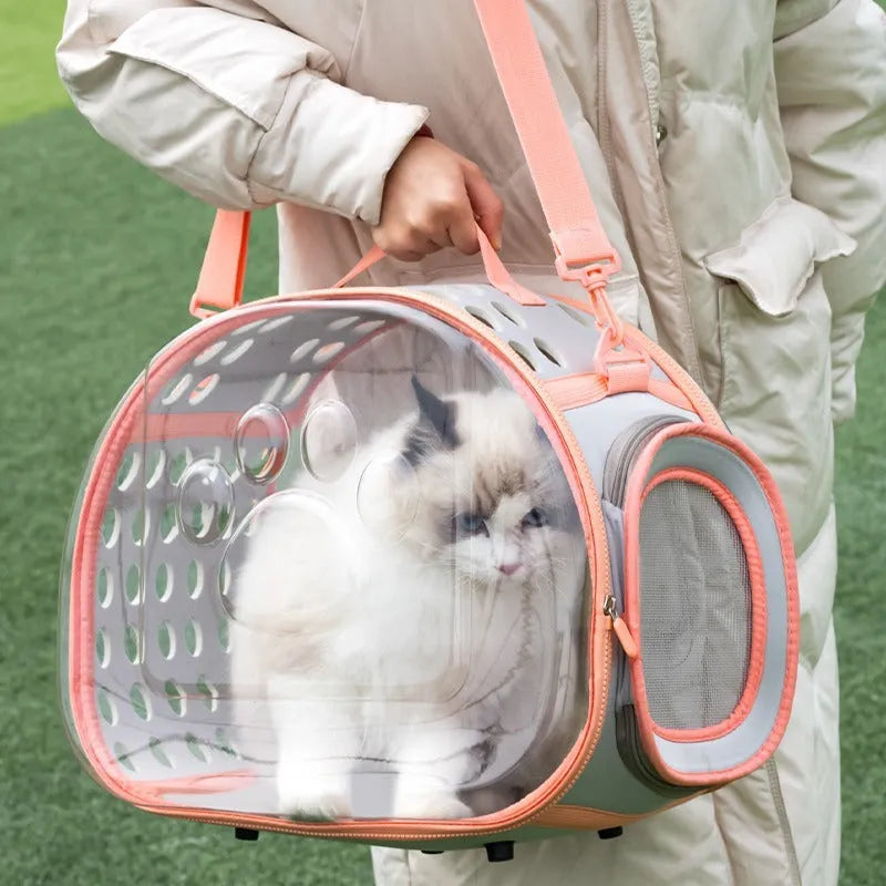Large transparent cat carrier backpack in hard EVA material showing space capsule design