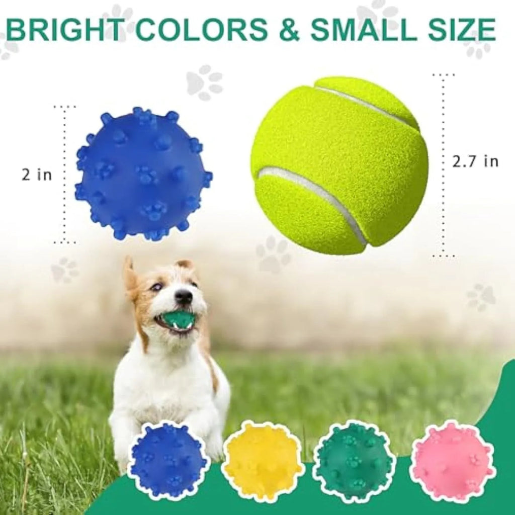 A bright blue spiky dog toy ball with a dimpled texture, shown next to a measuring tape indicating its 2-inch diameter.