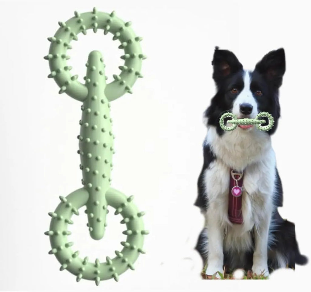 Blue TPR dog chew toy ring measuring 16cm diameter for puppy teething relief
