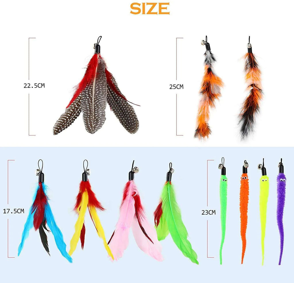 Cat teasing pole set showing two handheld rods with feather attachments and replacement heads