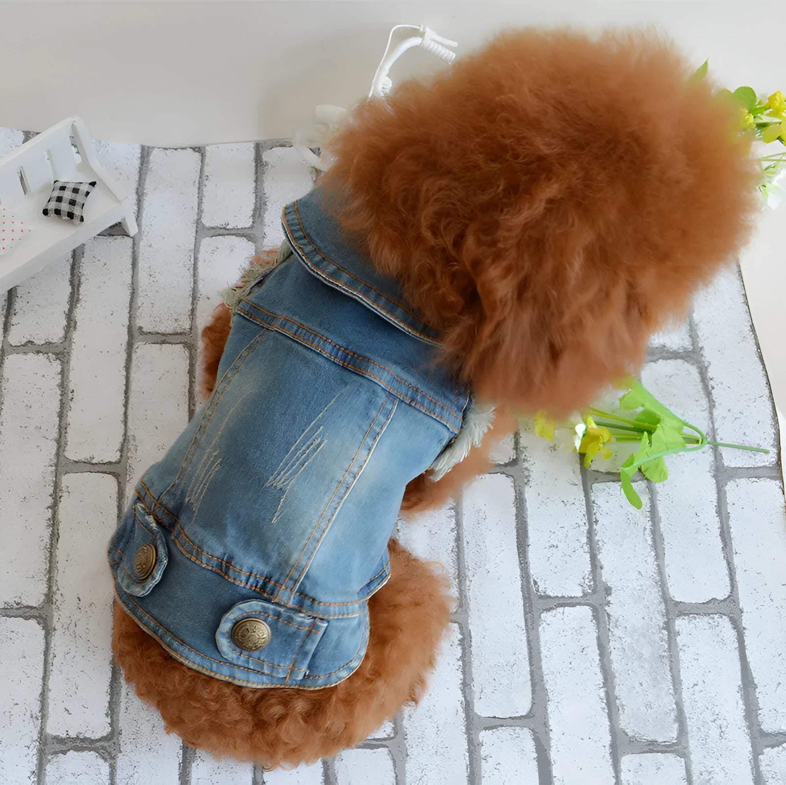 Retro scratch pattern denim vest for a dog on a mannequin, shown in dark wash and light wash colour options.