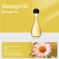 Ultrasonic aroma diffuser unit for air deodorising and mosquito repellent with six scent options