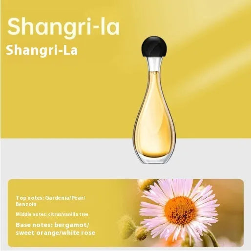 Ultrasonic aroma diffuser unit for air deodorising and mosquito repellent with six scent options