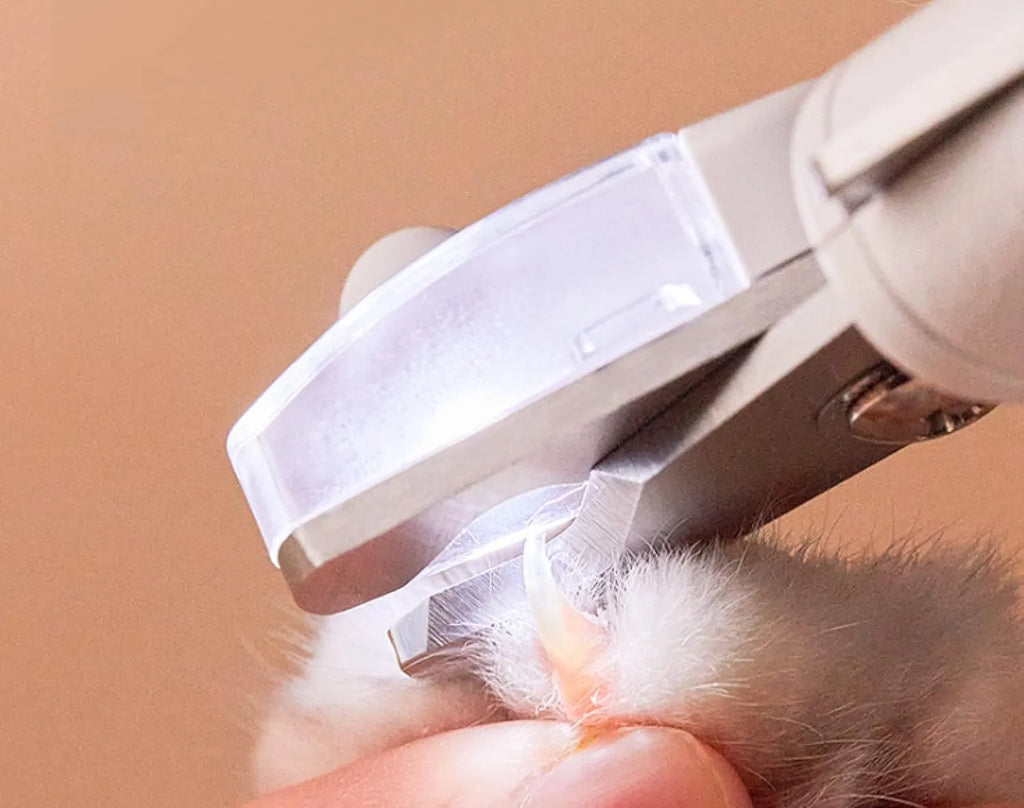 White pet nail clippers with LED light, transparent anti-splash guard open, and separate nail file.