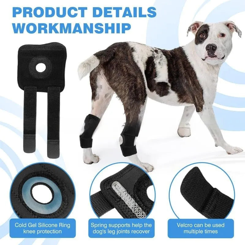 Black polyester pet leg guard for joint protection during ACL rehabilitation
