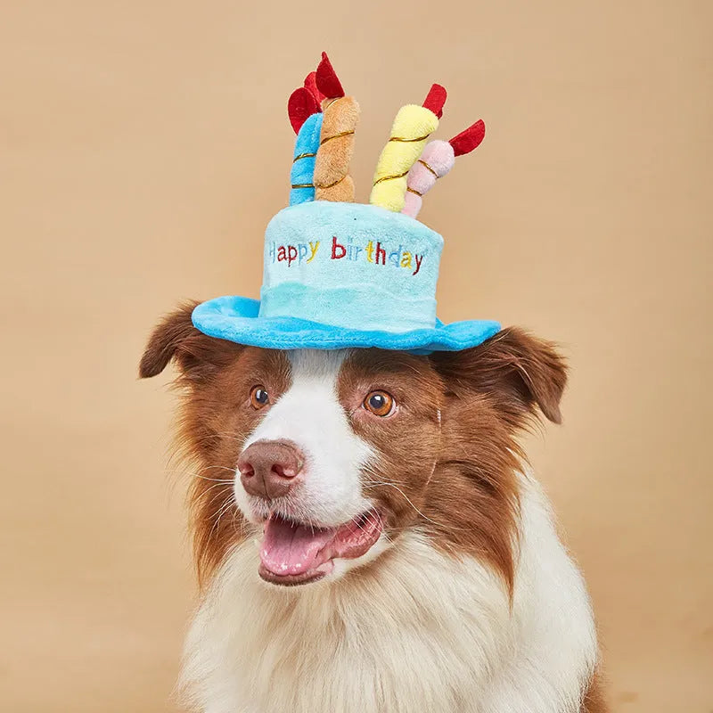 Blue dog birthday hat with elastic chin strap for pet party celebrations