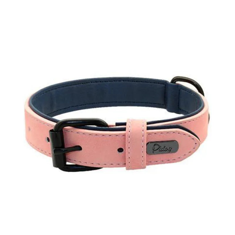 Adjustable dog collar in purple showing durable PU front and microfiber back, with size options.