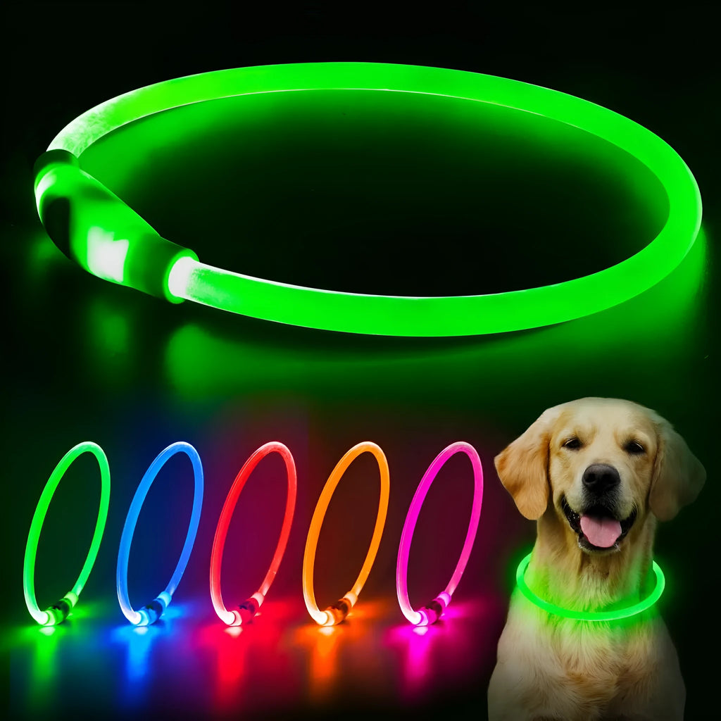 Blue USB-rechargeable LED dog collar glowing on a pet's neck for night-time safety.