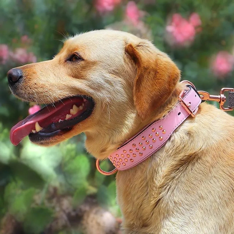 Leather dog collar with visible rivets in black, chocolate or pink for medium to large breeds