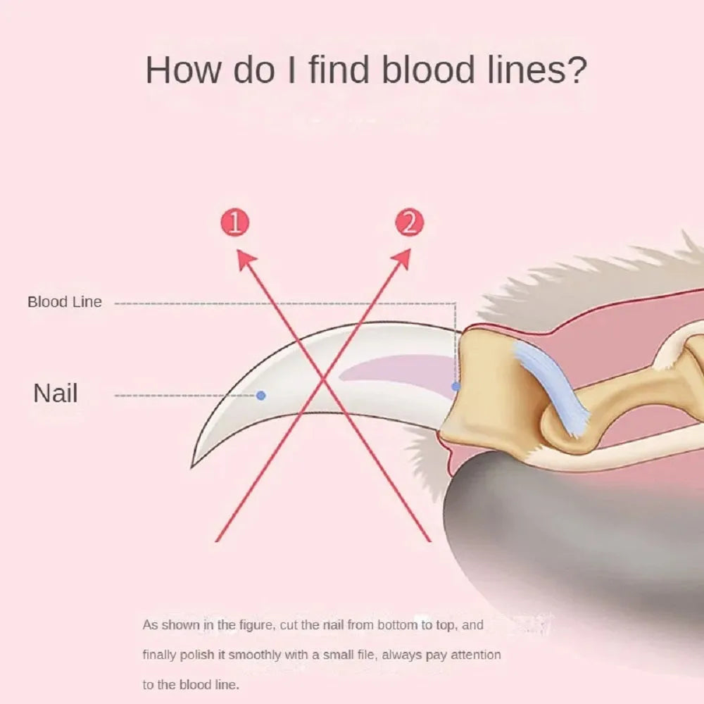 Professional silver stainless steel pet nail clipper for dog and cat grooming