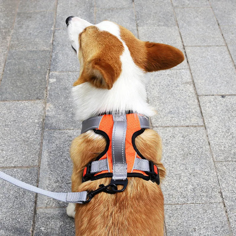 Adjustable dog harness with hand holding rope on back in various colours and sizes