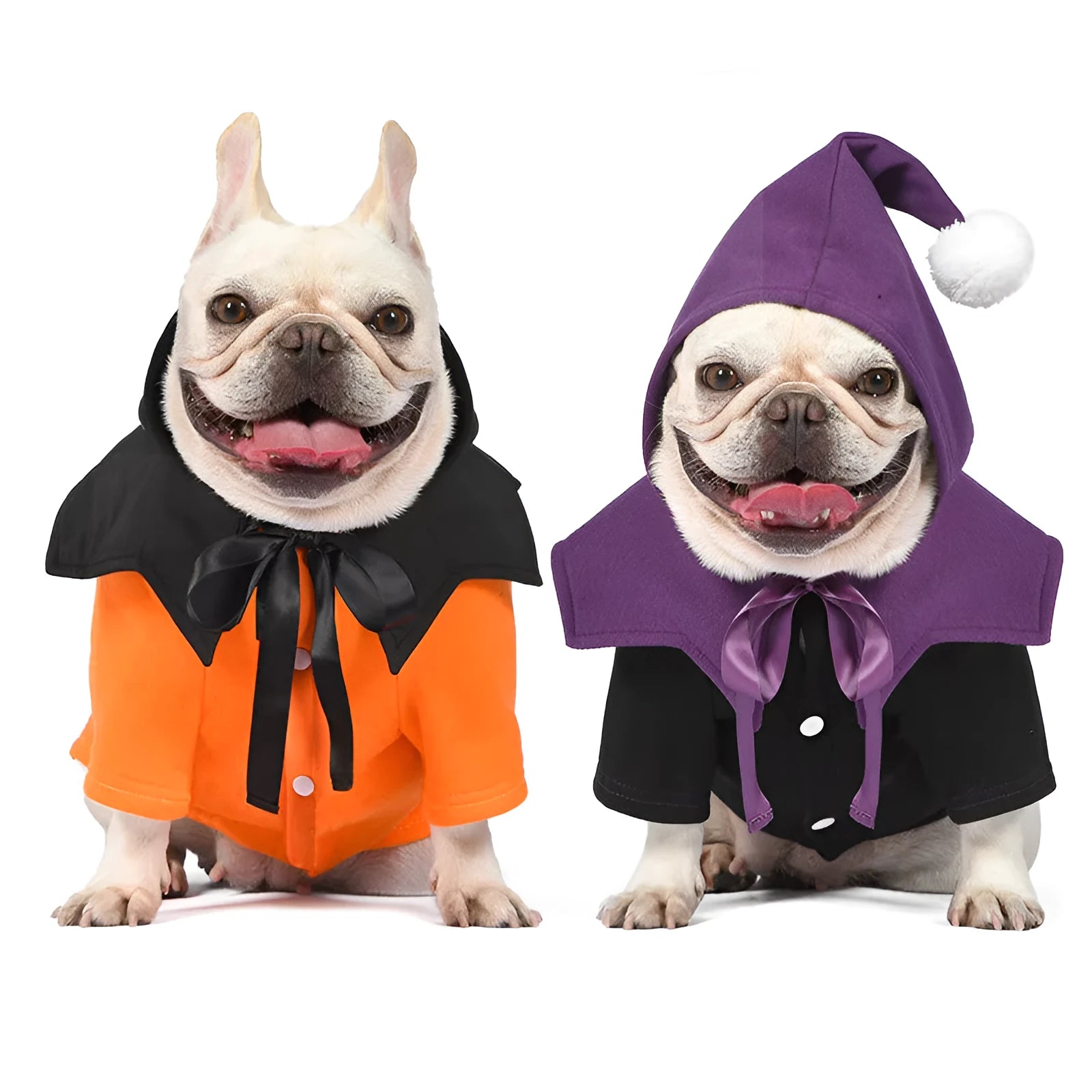 Black and orange Halloween pumpkin dog costume with sweater and shawl on pet