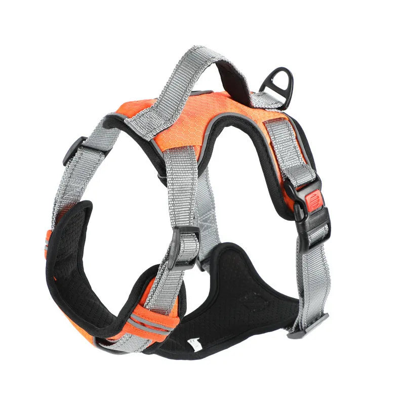 Adjustable dog harness with hand holding rope on back in various colours and sizes