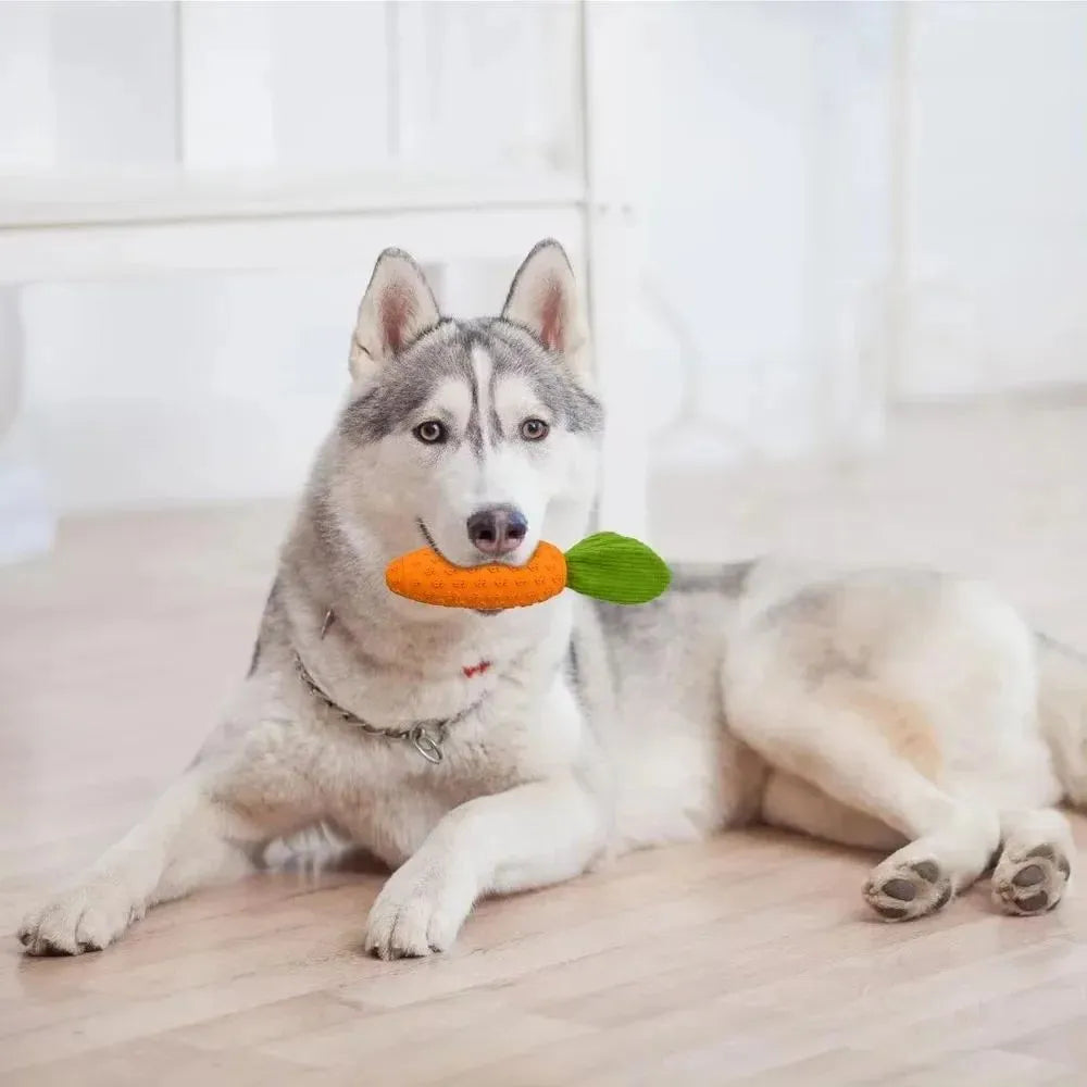 Orange carrot-shaped dog chew toy with rubber and plush texture, 21cm long, suitable for all breeds