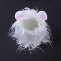 Pet cat wearing a black lion wig hat with synthetic fur mane, standing on a white background