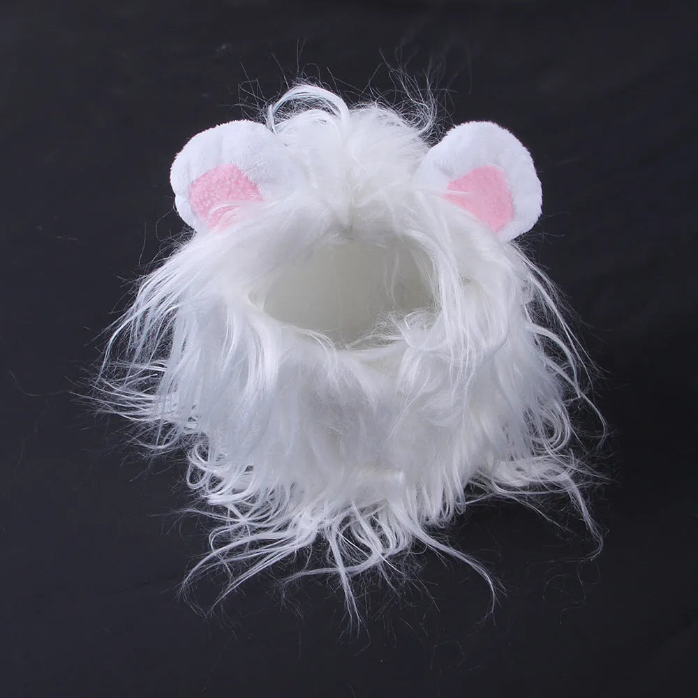 Pet cat wearing a black lion wig hat with synthetic fur mane, standing on a white background