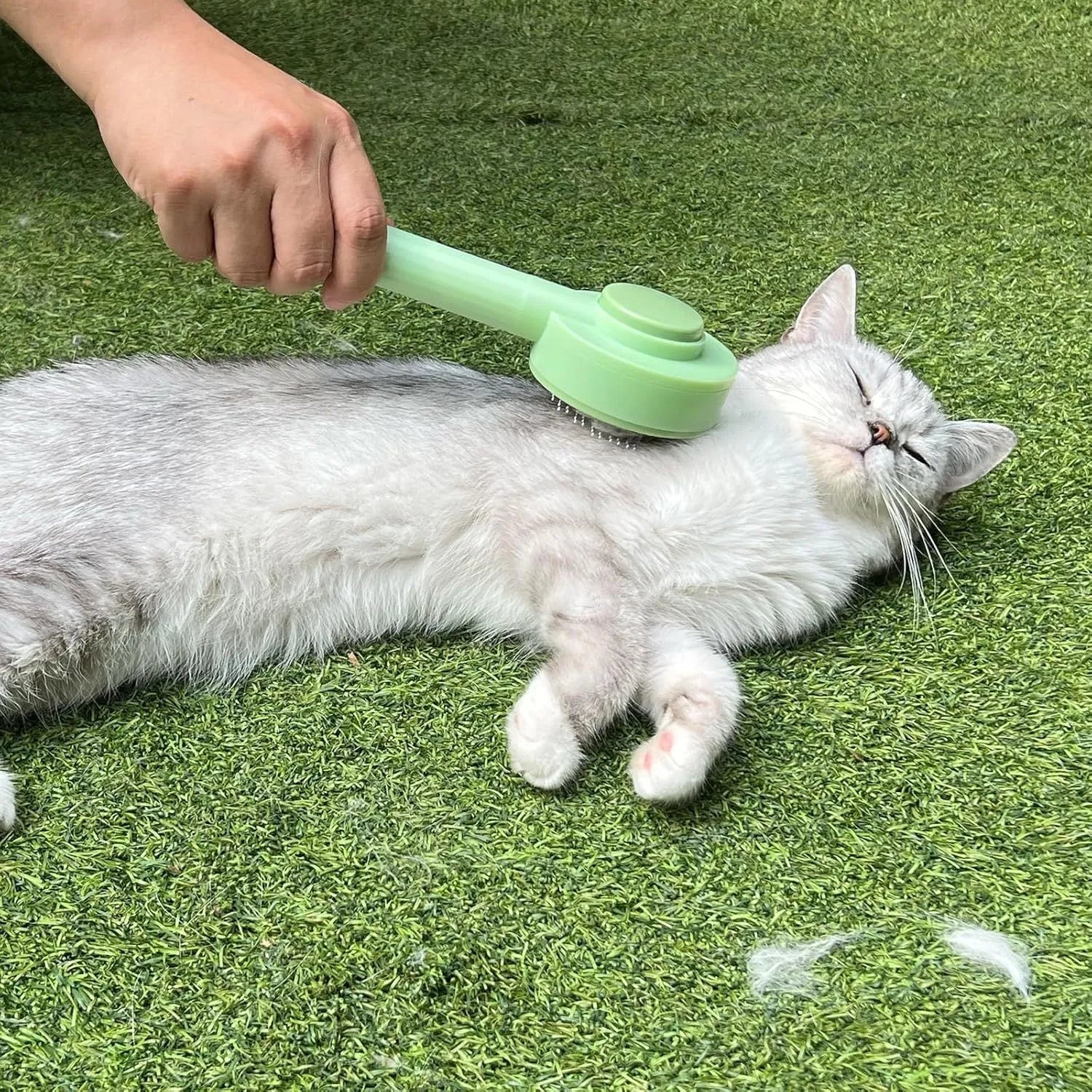 Green pet grooming brush with stainless steel bristles and hanging loop