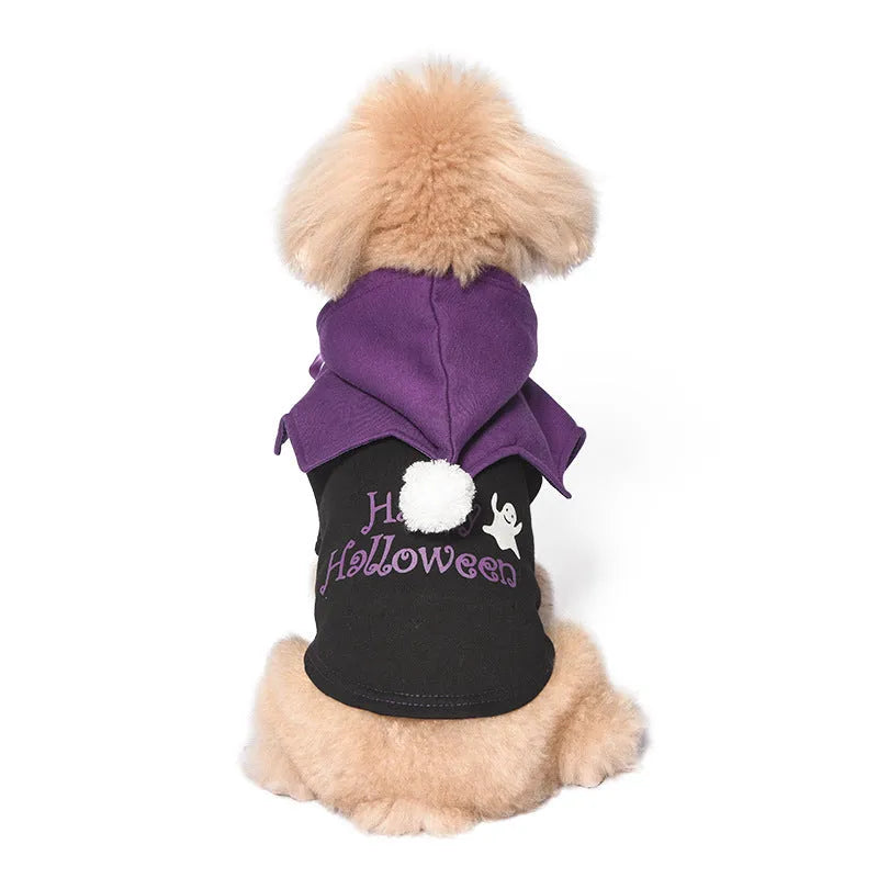 Black and orange Halloween pumpkin dog costume with sweater and shawl on pet