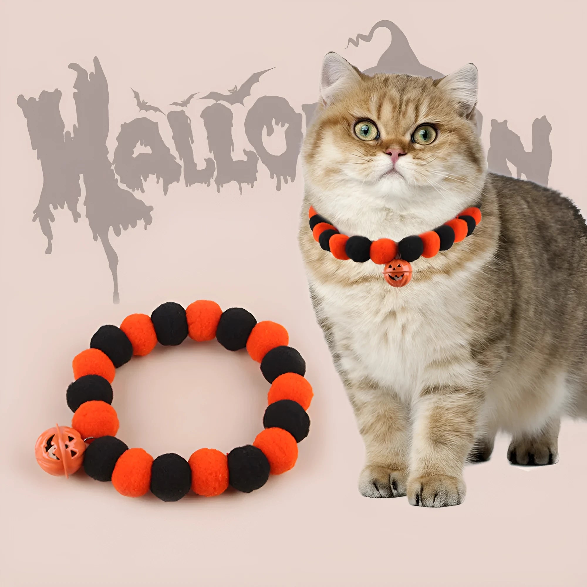 Orange Halloween pumpkin print cat collar with black cat silhouette and green stem.