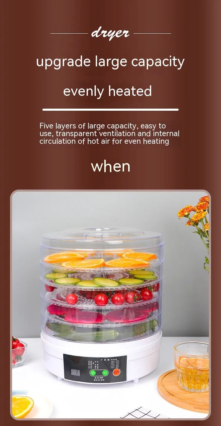 Five-layer household food dehydrator with UK plug on kitchen countertop