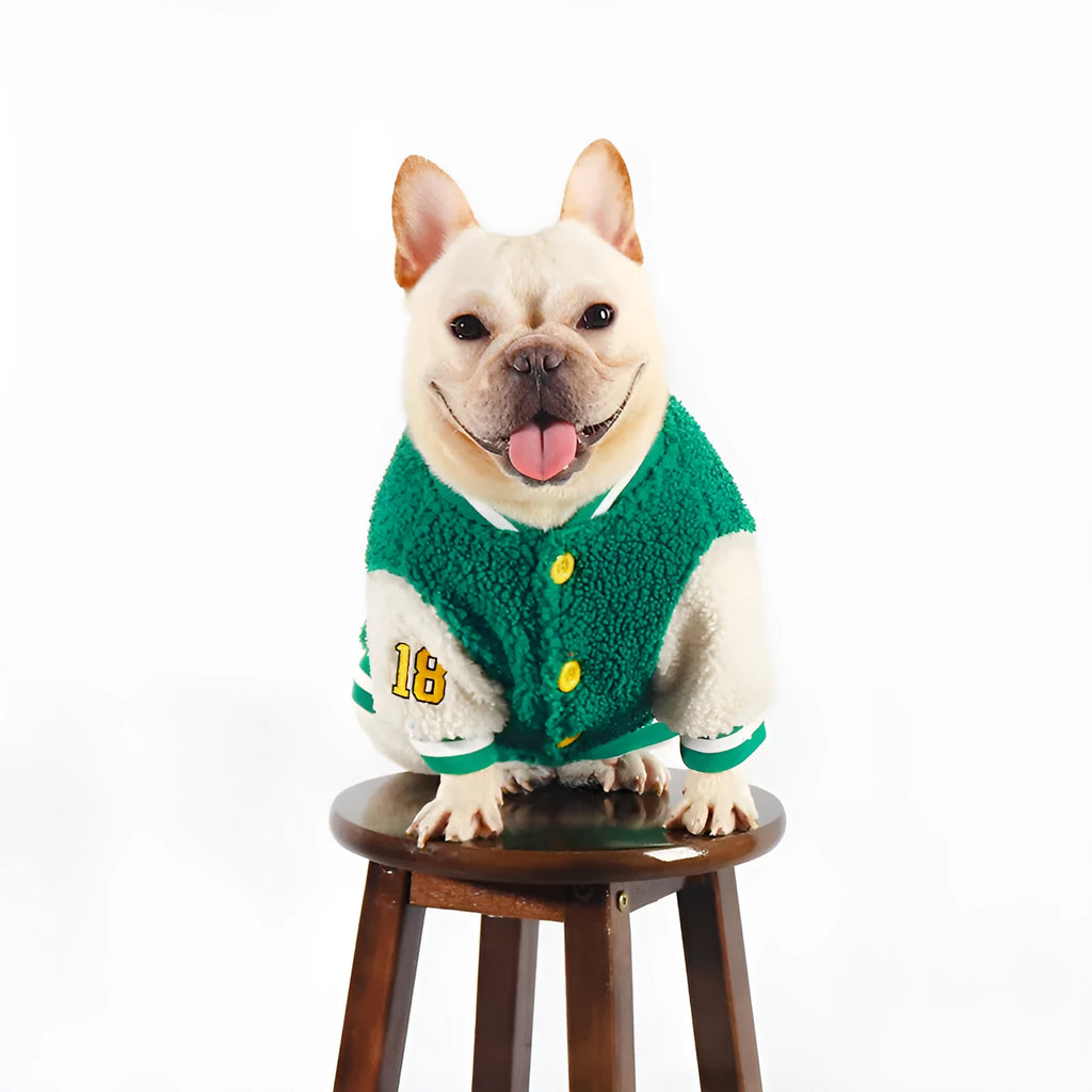 Green fleece-lined cotton winter dog clothing shown in sizes L through 4XL
