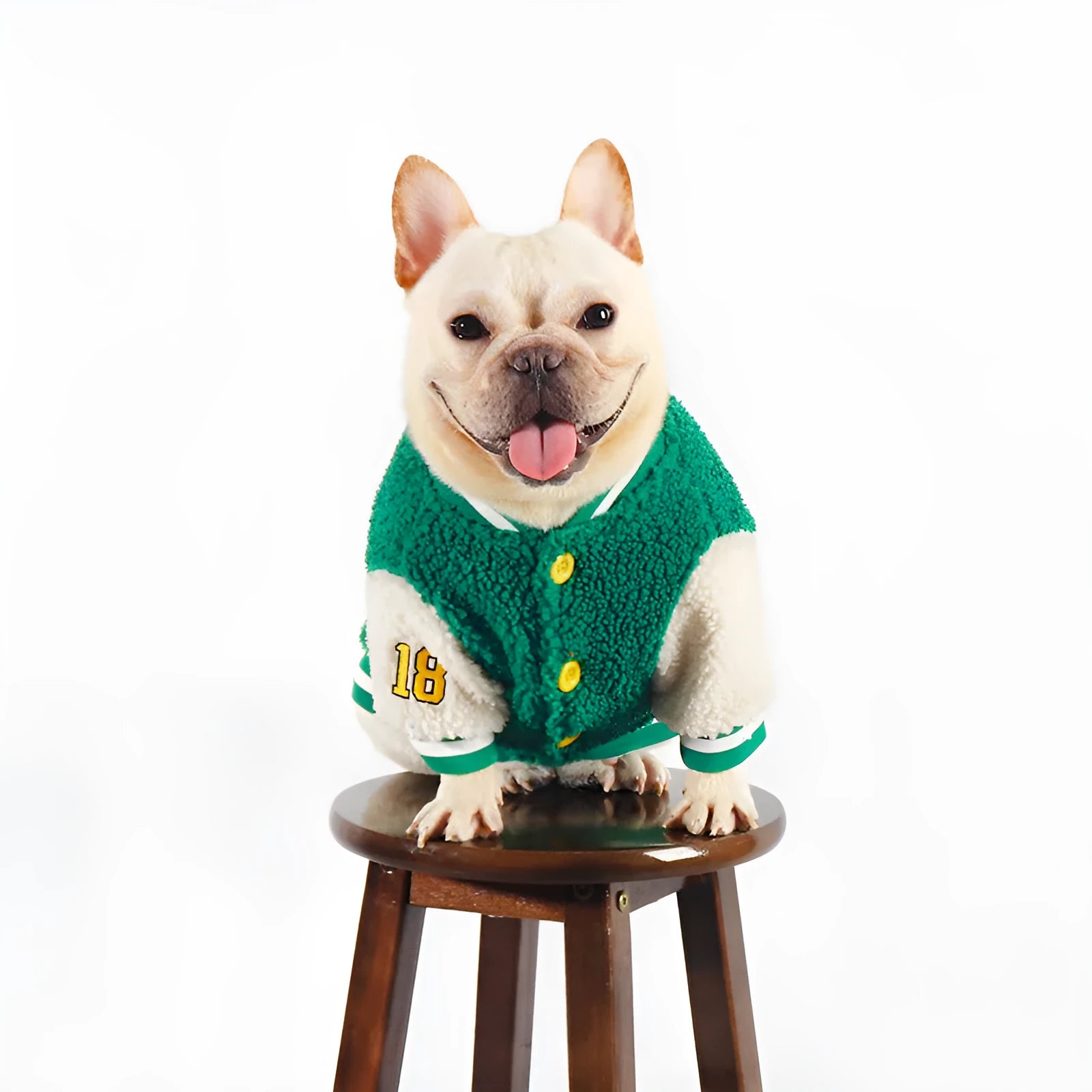 Green fleece-lined cotton winter dog clothing shown in sizes L through 4XL