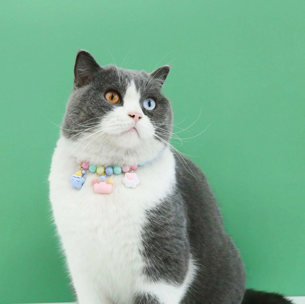 Adjustable pet collar with colourful macaron resin charms in moon, meteor, rabbit designs