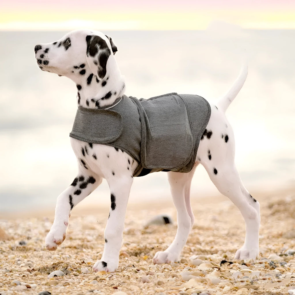 Heather grey dog anxiety jacket and warm vest made from brocade cotton ponte-de-roma fabric.