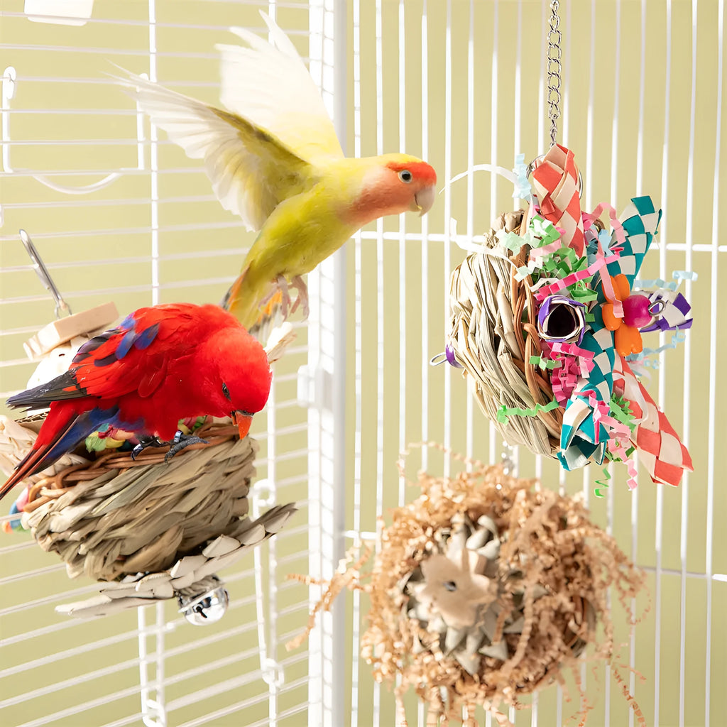 Parrot gnawing toy with three natural wooden blocks on cotton rope for medium to large birds
