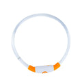 Blue USB-rechargeable LED dog collar glowing on a pet's neck for night-time safety.