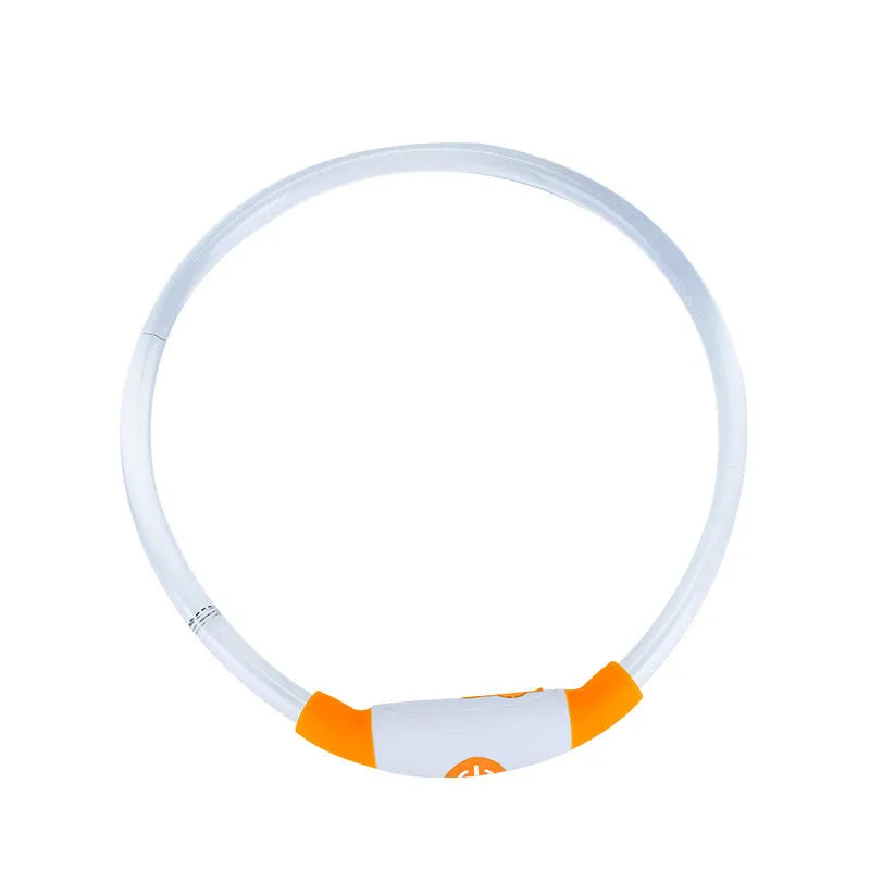 Blue USB-rechargeable LED dog collar glowing on a pet's neck for night-time safety.