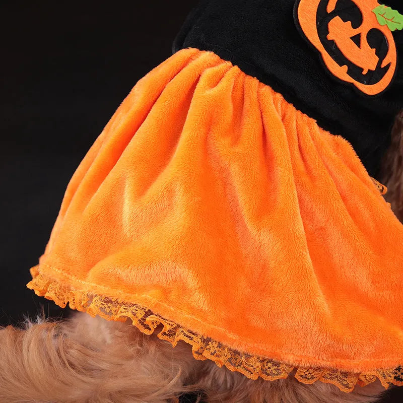 Halloween pet costume: orange pumpkin skirt and black Halloween sweater for small dogs and cats on hangers.