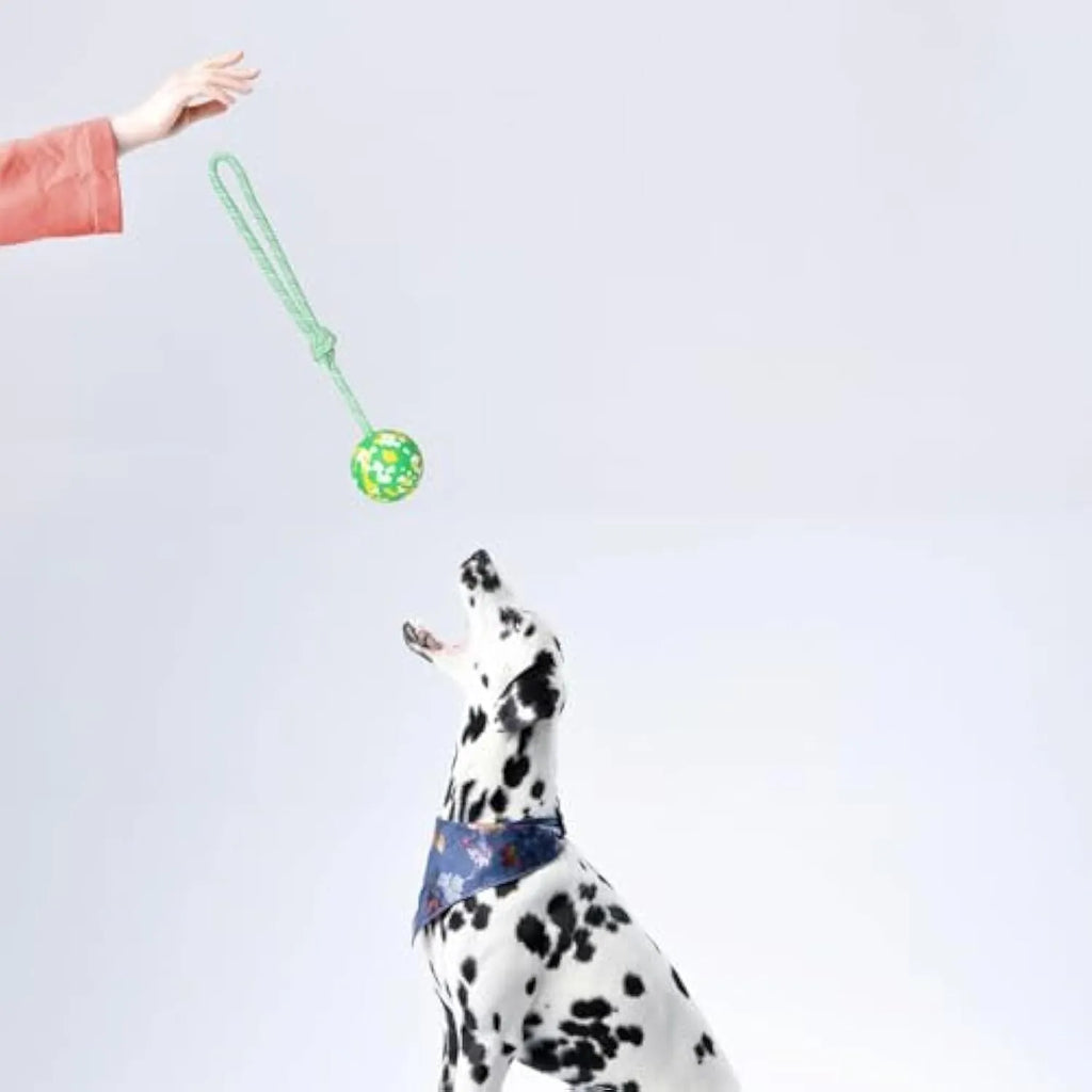 Natural rubber dog ball attached to nylon rope toy for medium and small dogs in two size options